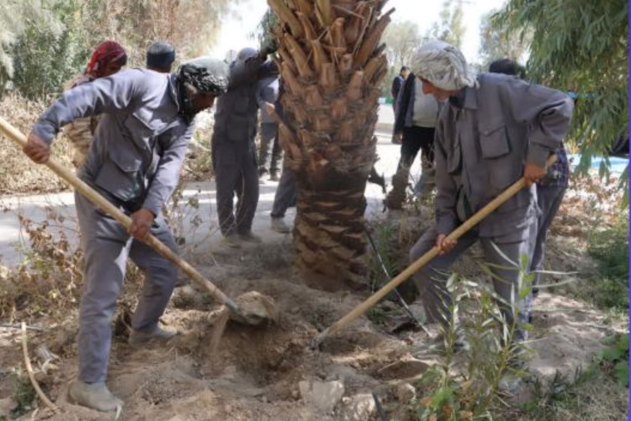 آغاز کاشت نخل خرما در شهر جدید رامشار سیستان