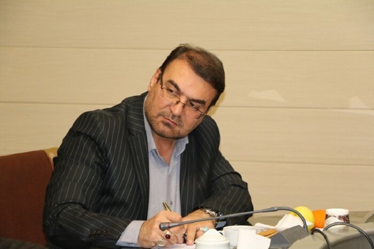 حفاظت از درخت چنار برغان؛ تلاشی برای حفظ هویت فرهنگی و طبیعی استان البرز