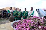 احیای گلابگیری موقوفه دولت‌آباد یزد پس از ۲۵۰ سال