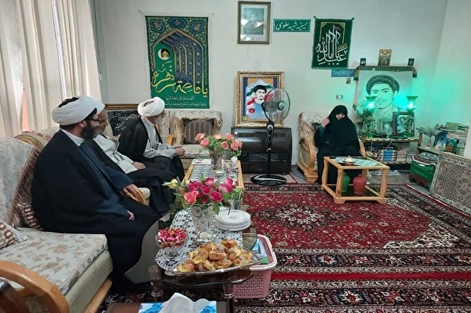 نماینده ولی فقیه در سپاه با مادر شهید حجت‌الاسلام علوی دیدار کرد