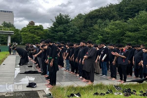 مراسم عزای حسینی در شهر دئگو کره جنوبی + فیلم و عکس