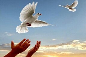 آزادی ۱۶ زندانی جرائم غیر عمد از زندان‌های کهگیلویه‌وبویراحمد