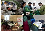 ارائه بیش از ۳۲ هزار نفر خدمت بسیج پزشکی در چهارمحال‌وبختیاری