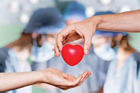 اهدای عضو سه بیمار مرگ مغزی همدانی در سال جاری