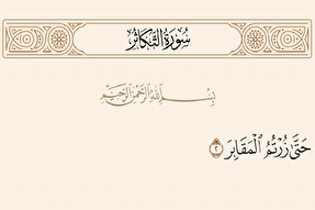 تکاثر به کجا می‌رسد