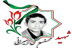 مادر شهید والامقام محسن چهل‌امیرانی آسمانی شد