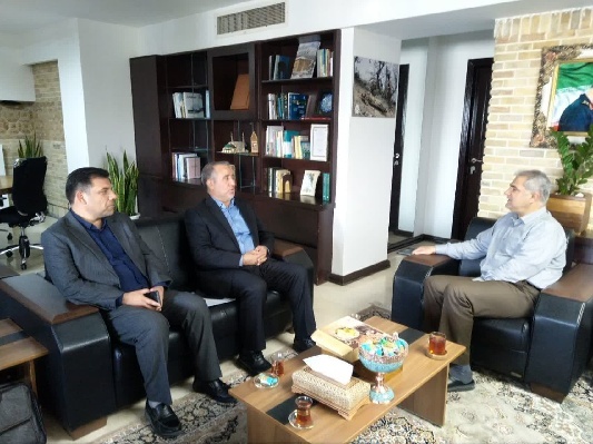 سیدمحمدرضا هاشمی، استاندار خراسان جنوبی