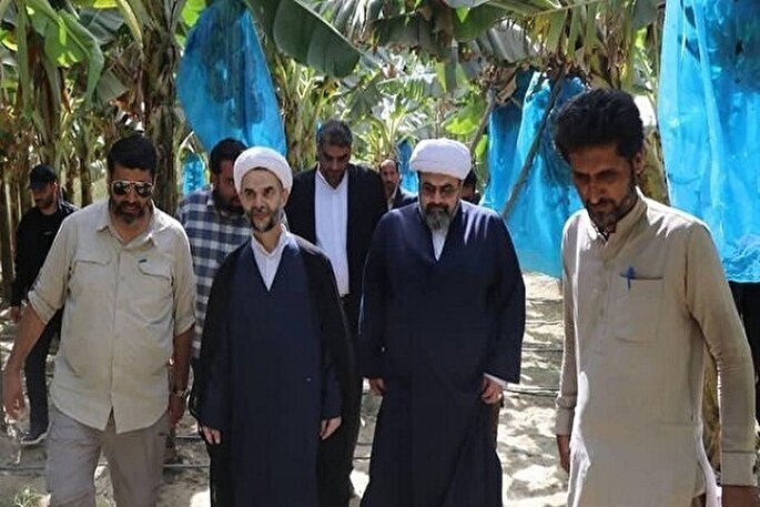 چالش‌های اشتغال در سیستان‌وبلوچستان با برنامه‌ریزی سامان می‌یابد