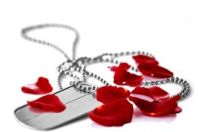 نسل سوم؛ وارثان سطر به سطر کنگره ملی ۵۵۰۰ شهید البرز