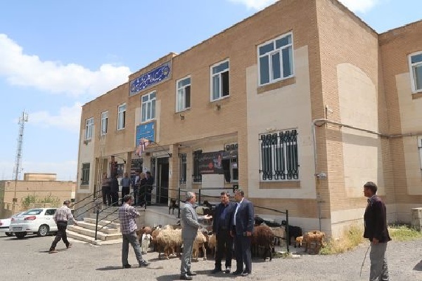 اهدای ۱۵۷ رأس دام سبک و سنگین به کمیته امداد اردبیل