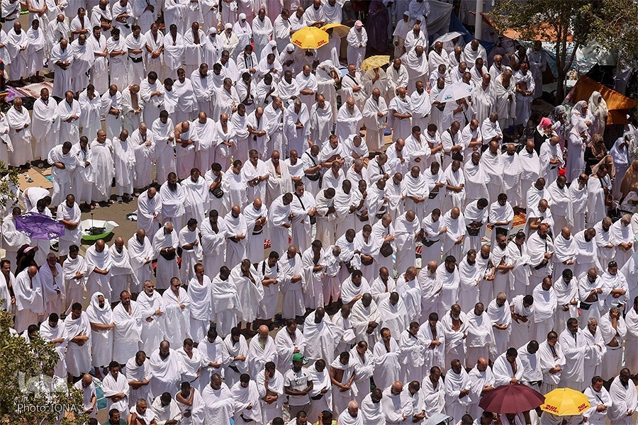 «عرفه» نقطه اوج بندگی در حج