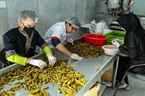 توسعه مشاغل خانگی و بومی اولویت کمیته امداد مهرستان است