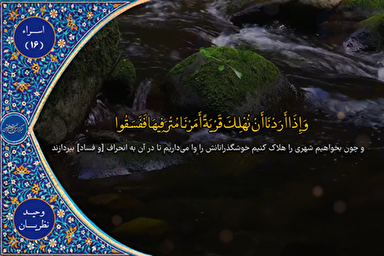 فیلم | فرازی از تلاوت «وحید نظریان»