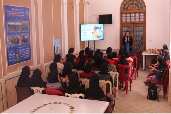 ۶۶ هزار دانش‌آموز یزدی در طرح ملی داناب شرکت کردند 