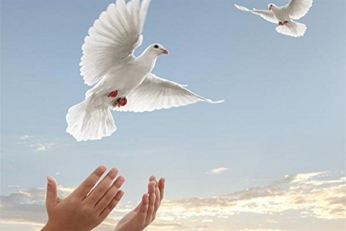 بخشش یک محکوم به قصاص در سنندج