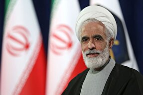 اتکا به ظرفیت‌های بومی مسیر توسعه کشور را هموار می‌کند