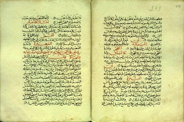 زکریای رازی در کتابخانه «ملک»