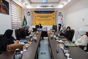 دومین دوره بین‌المللی هیستروسکوپی برگزار شد