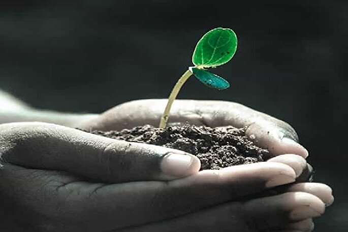 زندگی به قیمت نیست، به معناست