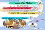 دوره مجازی حفظ جزء ۳۰ قرآن برگزار می‌شود