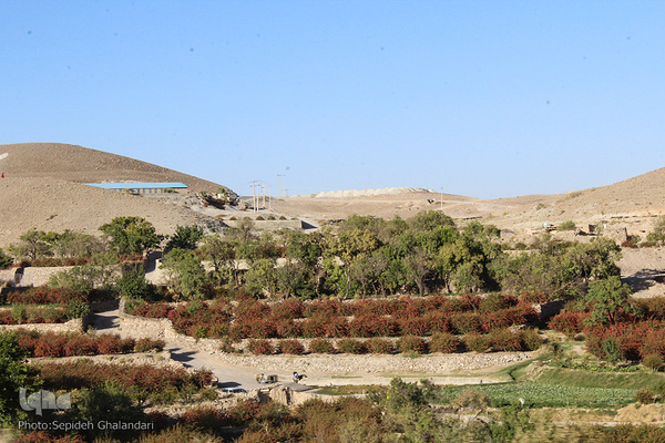 چشم نوازی یاقوت سرخ در خراسان جنوبی