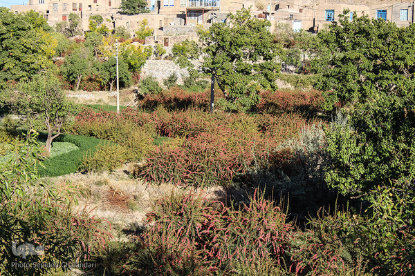 چشم نوازی یاقوت سرخ در خراسان جنوبی