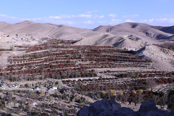 چشم نوازی یاقوت سرخ در خراسان جنوبی