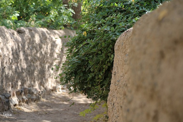 پاییز خراسان جنوبی