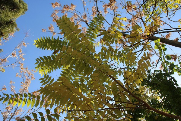 پاییز خراسان جنوبی