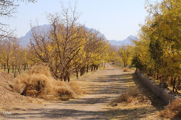 پاییز خراسان جنوبی