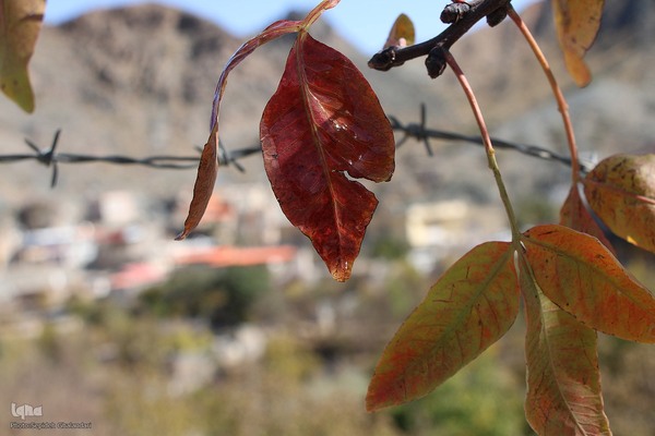 پاییز خراسان جنوبی