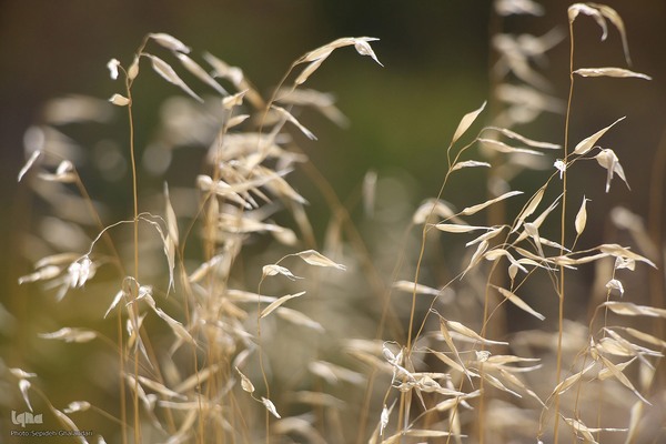 پاییز خراسان جنوبی