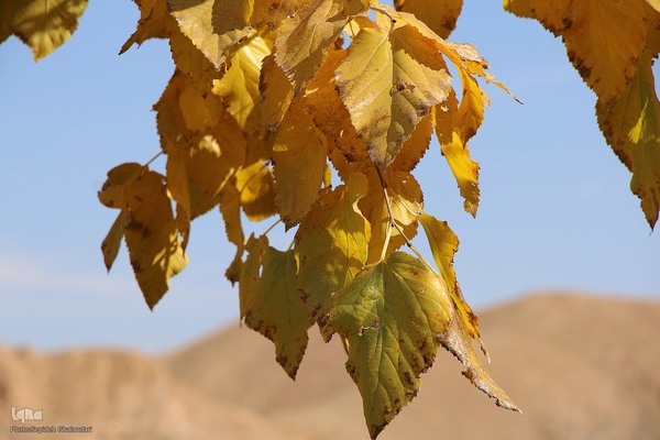 پاییز خراسان جنوبی