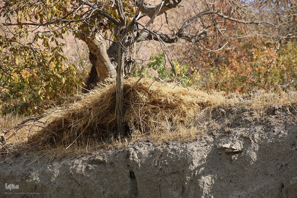 پاییز خراسان جنوبی