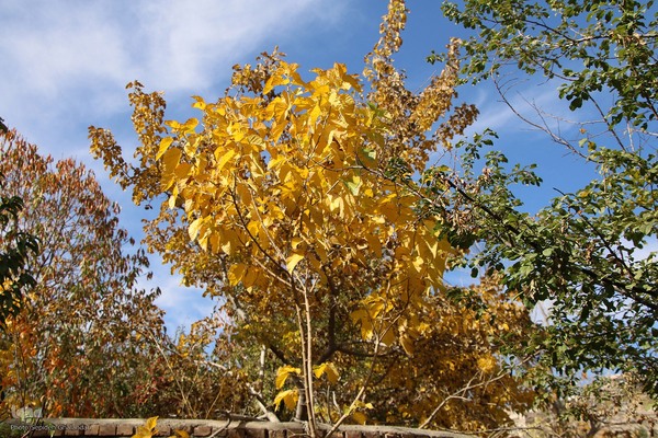 پاییز خراسان جنوبی