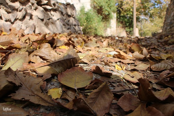 پاییز خراسان جنوبی