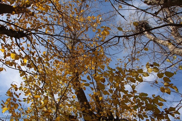 پاییز خراسان جنوبی