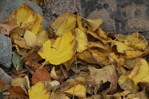 پاییز خراسان جنوبی