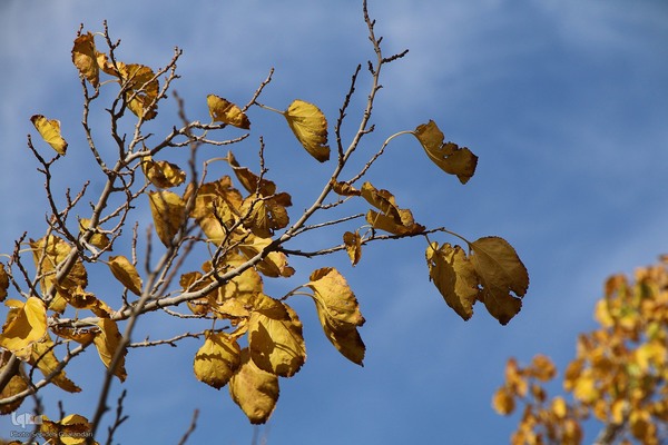 پاییز خراسان جنوبی