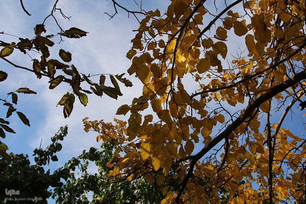 پاییز خراسان جنوبی