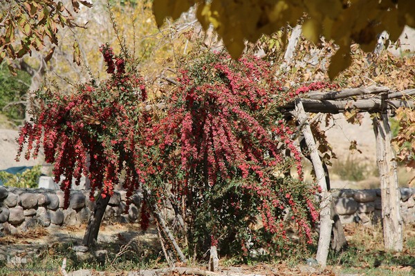 پاییز خراسان جنوبی