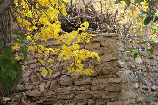 پاییز خراسان جنوبی