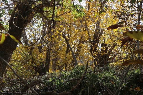 پاییز خراسان جنوبی