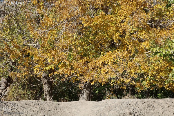 پاییز خراسان جنوبی