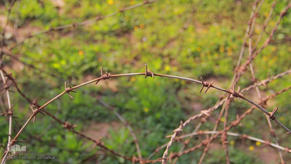 4266089
سرویس: خراسان جنوبی