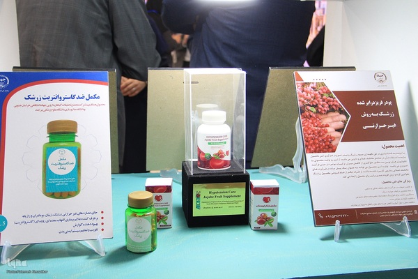 غرفه جهاددانشگاهی خراسان جنوبی، غرفه برتر نمایشگاه ایران و افغانستان شد