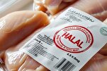 Россия надеется увеличить экспорт за счет разработки...