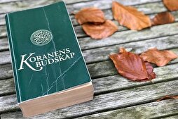 Афзоиши талабот ба тарҷумаи Қуръон ба забони шведӣ пас аз Қуръонсӯзӣ